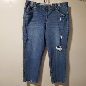 Terra & Sky Boyfriend Distressed HIgh Rise Jeans 20W